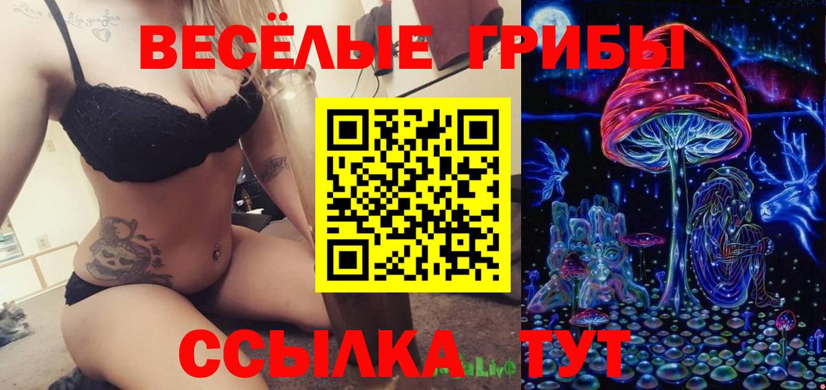 Псилоцибиновые грибы Cubensis Чехов