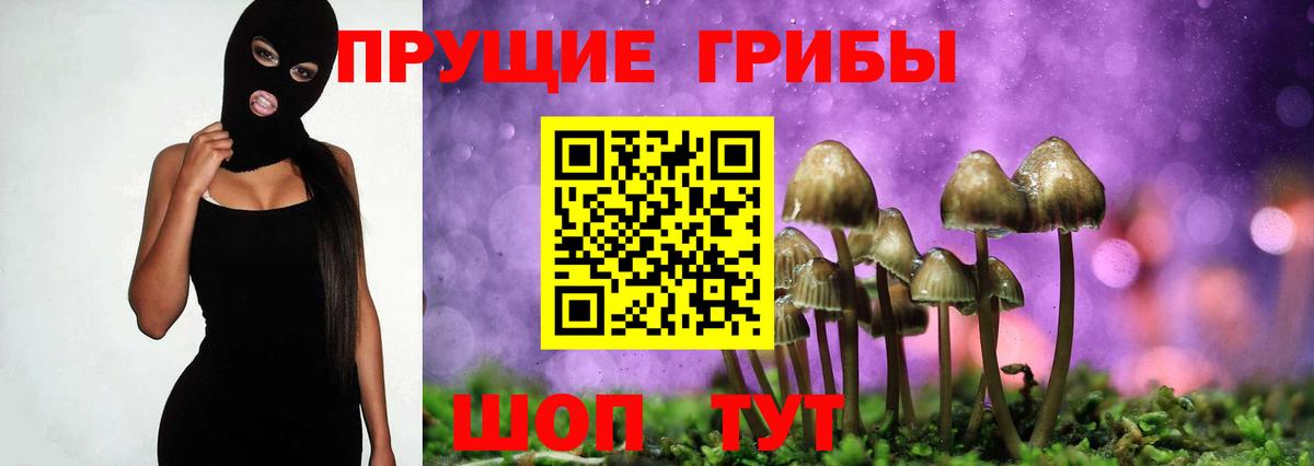 Чехов  Галлюциногенные грибы Psilocybe  Вход с VPN 